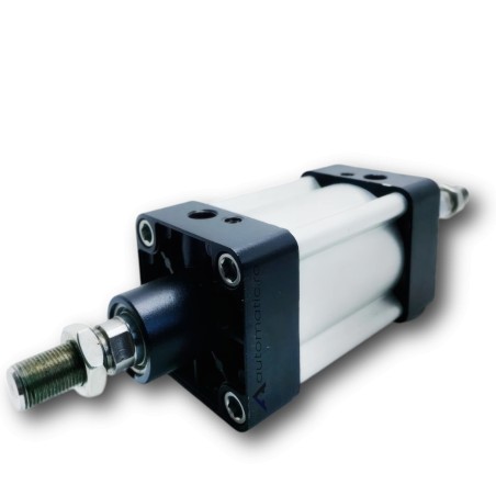Cilindru pneumatic cu tija dubla SID Φ80 - filet M20 10 bari