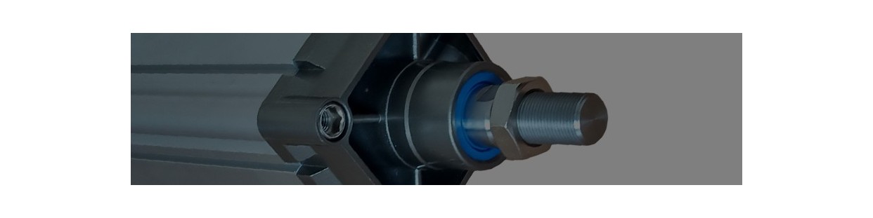 Componente Pneumatice » Preturi Avantajoase 
